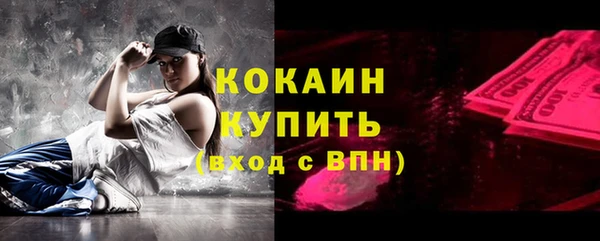 прущие грибы Баксан