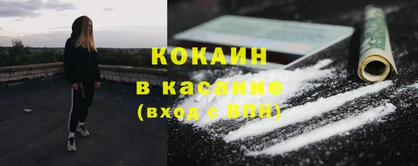 бошки Аркадак
